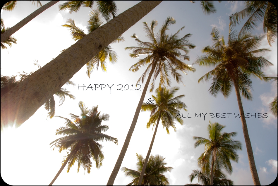 Happy 2012